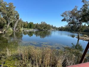 Los Gatos   Vasona Lake County Park